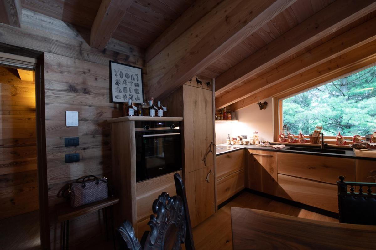 Chalet Degli Abeti By Ama Val Di Fassa Кампителло-ди-Фасса Экстерьер фото